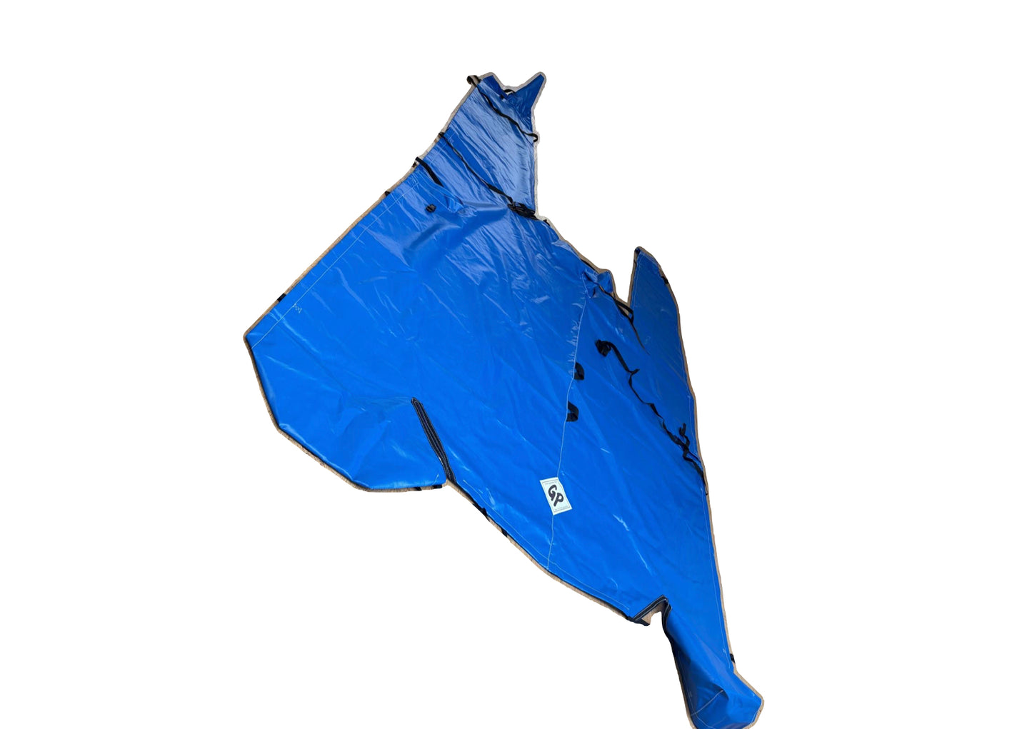 GP Sails Dart 18 Cover