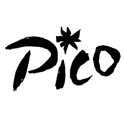 GP Sails Pico Cover