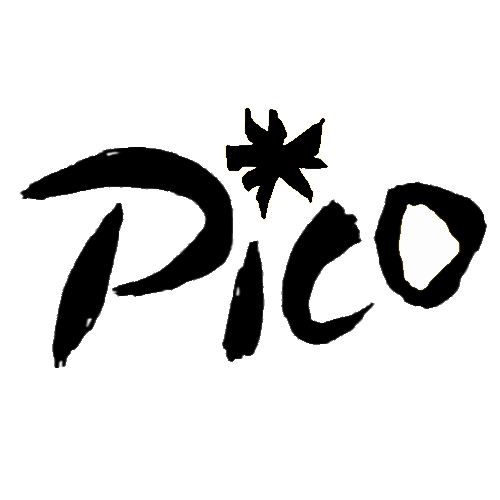 GP Sails Pico Cover